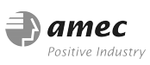 Branchenübergreifender Unternehmensverband (AMEC)